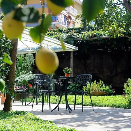 Relais Angiolina Affittacamere 4*