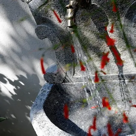 招待所 瑞拉斯维拉安吉奥里纳酒店