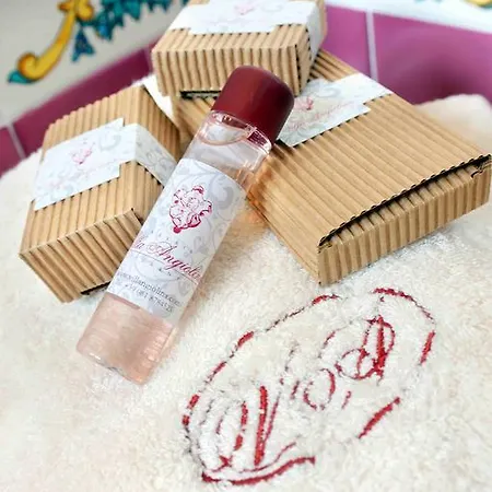 瑞拉斯维拉安吉奥里纳酒店 招待所 索伦托