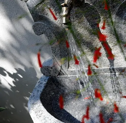 Gasthof Relais Angiolina